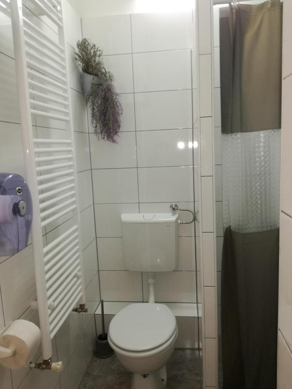 סלאבונסקי ברוד Guesthouse Coco מראה חיצוני תמונה