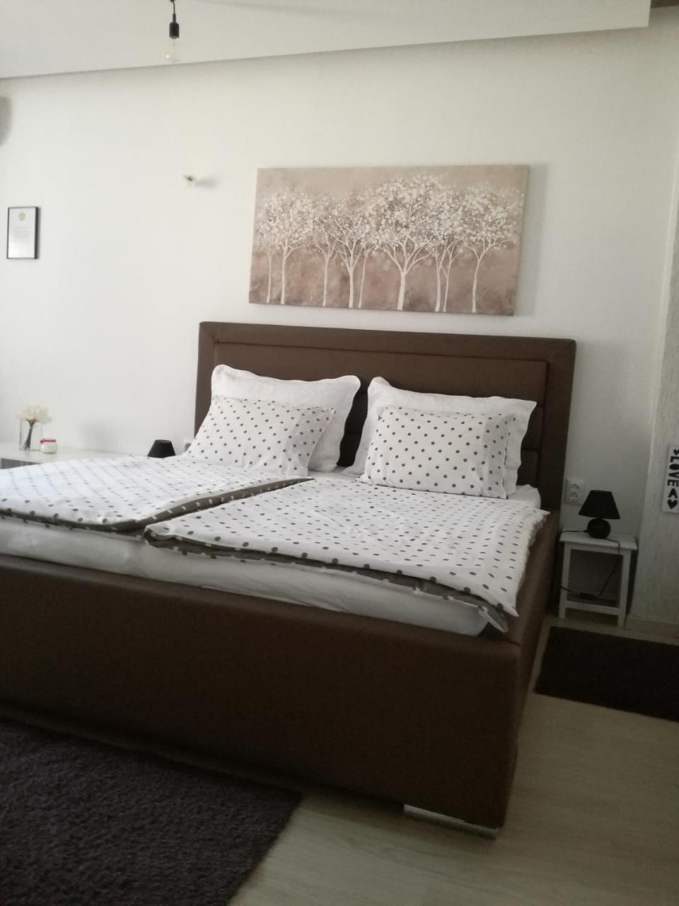 סלאבונסקי ברוד Guesthouse Coco מראה חיצוני תמונה